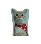 Cat my home（個別スタンプ：22）