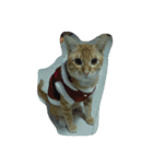 Cat my home（個別スタンプ：25）