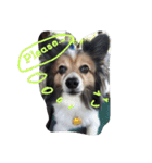 papelbonthepapillon（個別スタンプ：7）