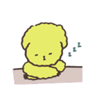 Dog Crash（個別スタンプ：30）