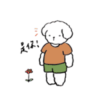 Dog Crash（個別スタンプ：39）
