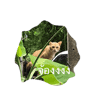 Cat's Vision（個別スタンプ：3）