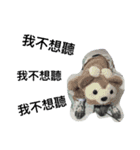 cute dog name is NOVA（個別スタンプ：4）
