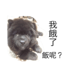 like bear is dog（個別スタンプ：4）