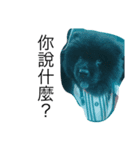 like bear is dog（個別スタンプ：5）