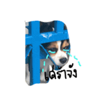 dogs banban2（個別スタンプ：4）