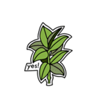 plants lover（個別スタンプ：24）