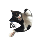 Charcoal My Cat V.1（個別スタンプ：9）