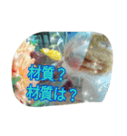 台湾語 日本語 中国語 猫 鳥 うさぎ（個別スタンプ：35）