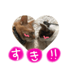 とろろとむぎ（個別スタンプ：10）