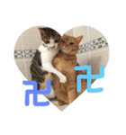 とろろとむぎ（個別スタンプ：12）