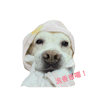 Happy＆Smile！（個別スタンプ：2）