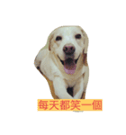 Happy＆Smile！（個別スタンプ：9）