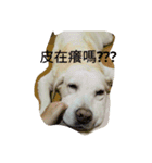 Happy＆Smile！（個別スタンプ：13）