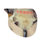 Happy＆Smile！（個別スタンプ：14）
