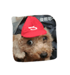 orange dog2（個別スタンプ：2）