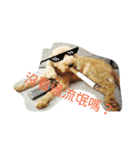 orange dog2（個別スタンプ：5）