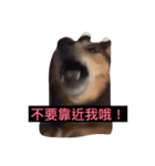 ChenHan（個別スタンプ：1）