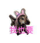 ChenHan（個別スタンプ：3）