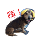 ChenHan（個別スタンプ：6）
