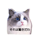 あなたも私も猫好きである（個別スタンプ：18）