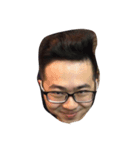 The best facial picture ever（個別スタンプ：3）