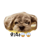 doggybb（個別スタンプ：1）