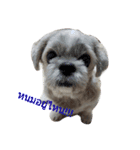 doggybb（個別スタンプ：3）