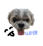 doggybb（個別スタンプ：5）