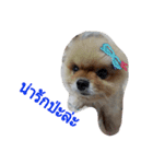 doggybb（個別スタンプ：7）