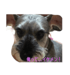 きぃくんの日々（個別スタンプ：3）