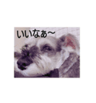 きぃくんの日々（個別スタンプ：14）