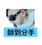 Ya caesar baby so cute（個別スタンプ：7）