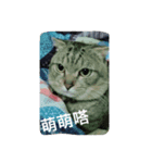DiDi show（個別スタンプ：6）