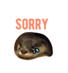 cidder the otter（個別スタンプ：7）