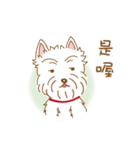 A RU's Dog（個別スタンプ：27）