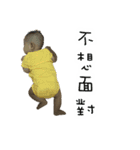 DUDU'S DIARY（個別スタンプ：4）
