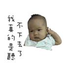 DUDU'S DIARY（個別スタンプ：10）
