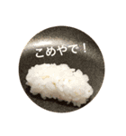 食ただそれだけ…（個別スタンプ：7）