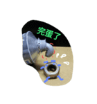 GOOD Nuts（個別スタンプ：4）
