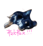 ショコラ.モコ.クウ.リク（個別スタンプ：6）