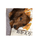 ダックスフンドのななちゃん（個別スタンプ：29）