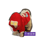 Maltese-Minnie Lu（個別スタンプ：20）