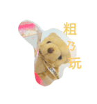 Daily Lives of Chris bear（個別スタンプ：2）