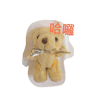 Daily Lives of Chris bear（個別スタンプ：4）