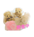Daily Lives of Chris bear（個別スタンプ：6）