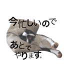 むぎむぎの日常会話（個別スタンプ：14）