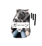 Rii  Stamp 1（個別スタンプ：8）
