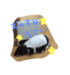 ShiiNao2（個別スタンプ：15）