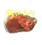 うずとろみるく（個別スタンプ：5）